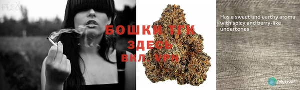 трава Коряжма