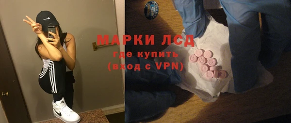 трава Коряжма