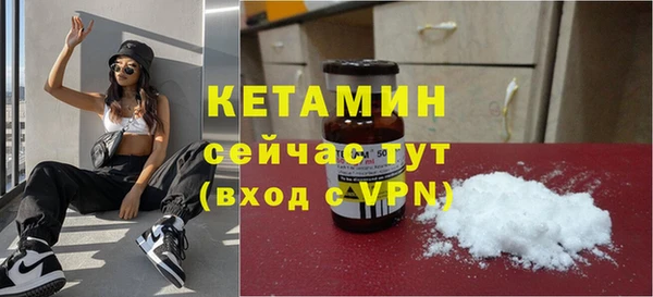 трава Коряжма