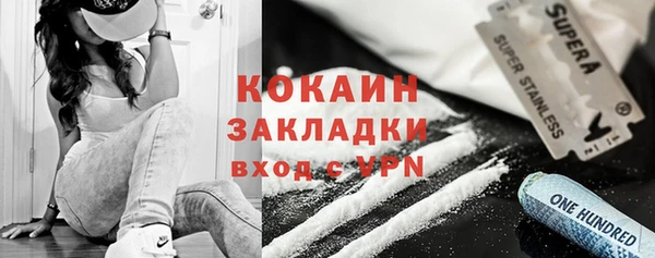 трава Коряжма