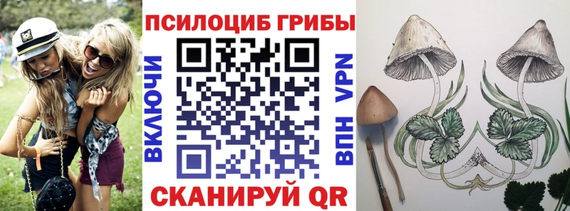 Псилоцибиновые грибы GOLDEN TEACHER  Называевск 
